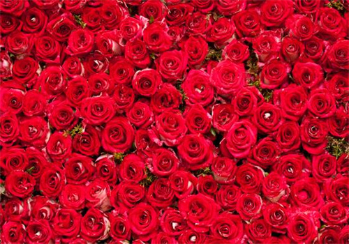 夫妻离婚家产怎么分配