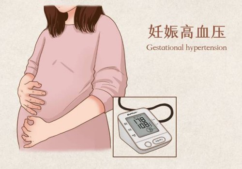内膜19mm的移植成功率，高不高文章告诉你